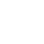 Spaceship Icon